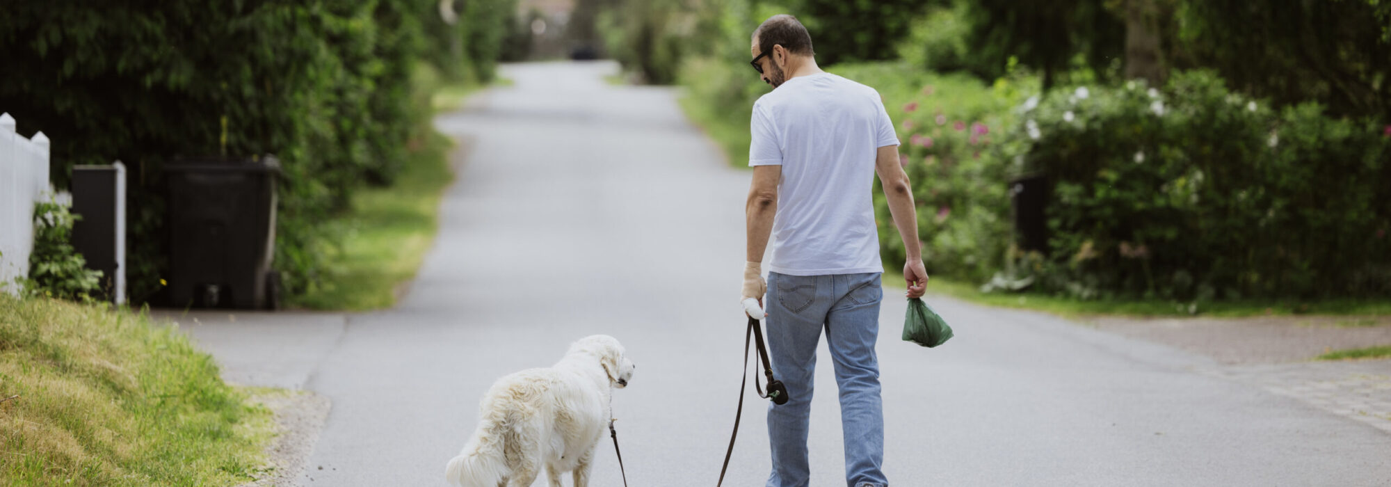 En man rastar en vit hund längs en gata.